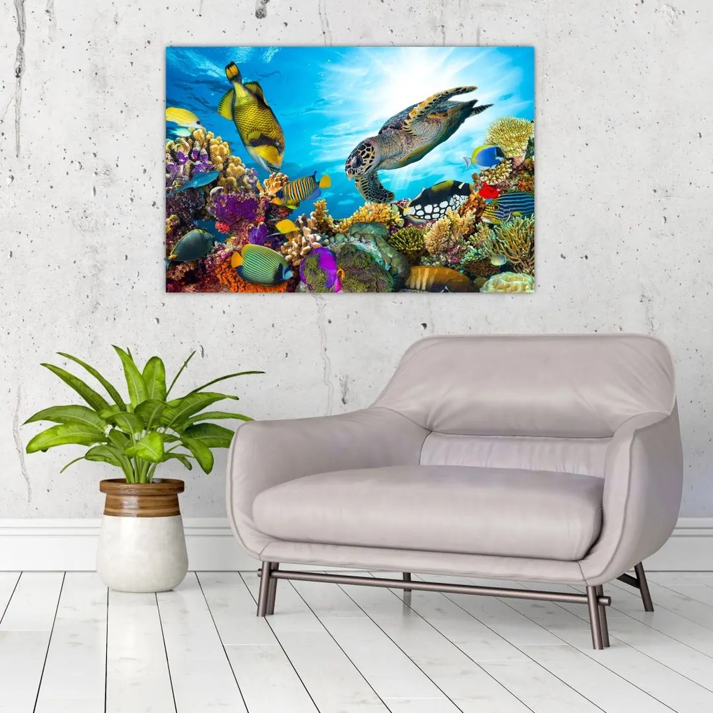 Tablou - Recif de corali (90x60 cm)