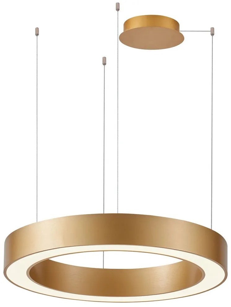 Azzardo AZ5045 - Lustră LED dimabilă pe cablu MARCO LED/50W/230V auriu + + telecomandă