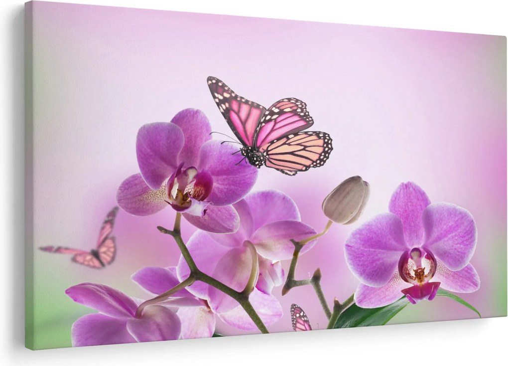 Tablou - Fluture pe flori de orhidee, liliac (90x60 cm)