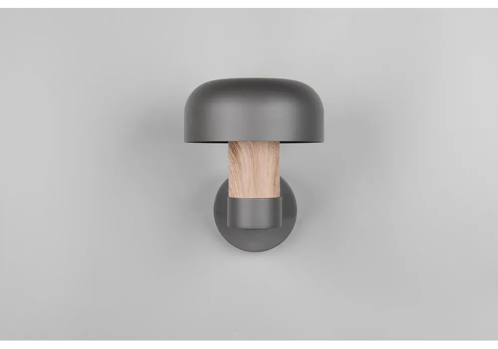 Corp de iluminat pentru exterior, de perete (înălțime 24,5 cm) Fraser – Trio