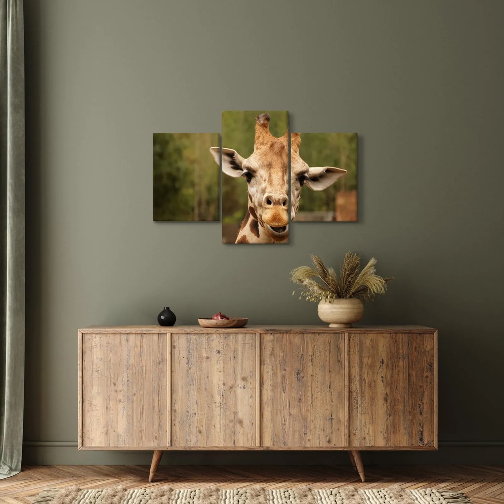 Tablou girafe (90x60 cm)