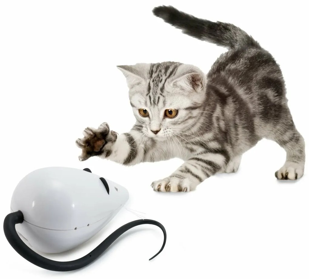 FroliCat® RoloRat Teaser automat pentru pisici