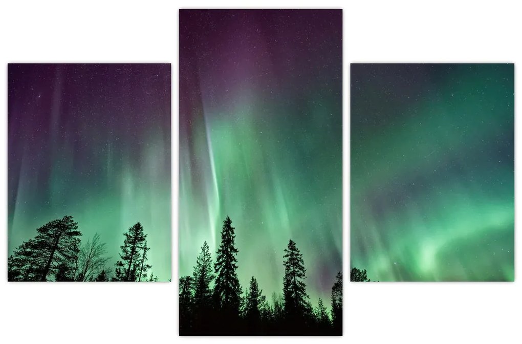 Tablou cu Northern Lights (90x60 cm)