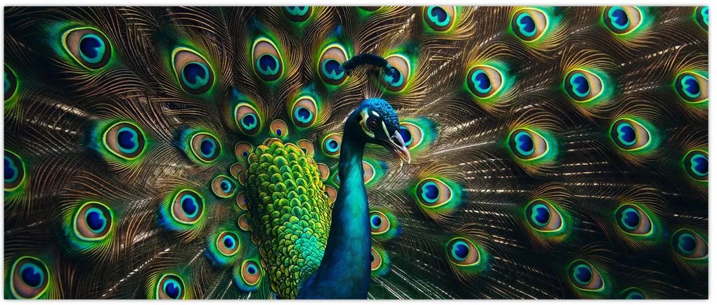 Tablou – Păun (120x50 cm)