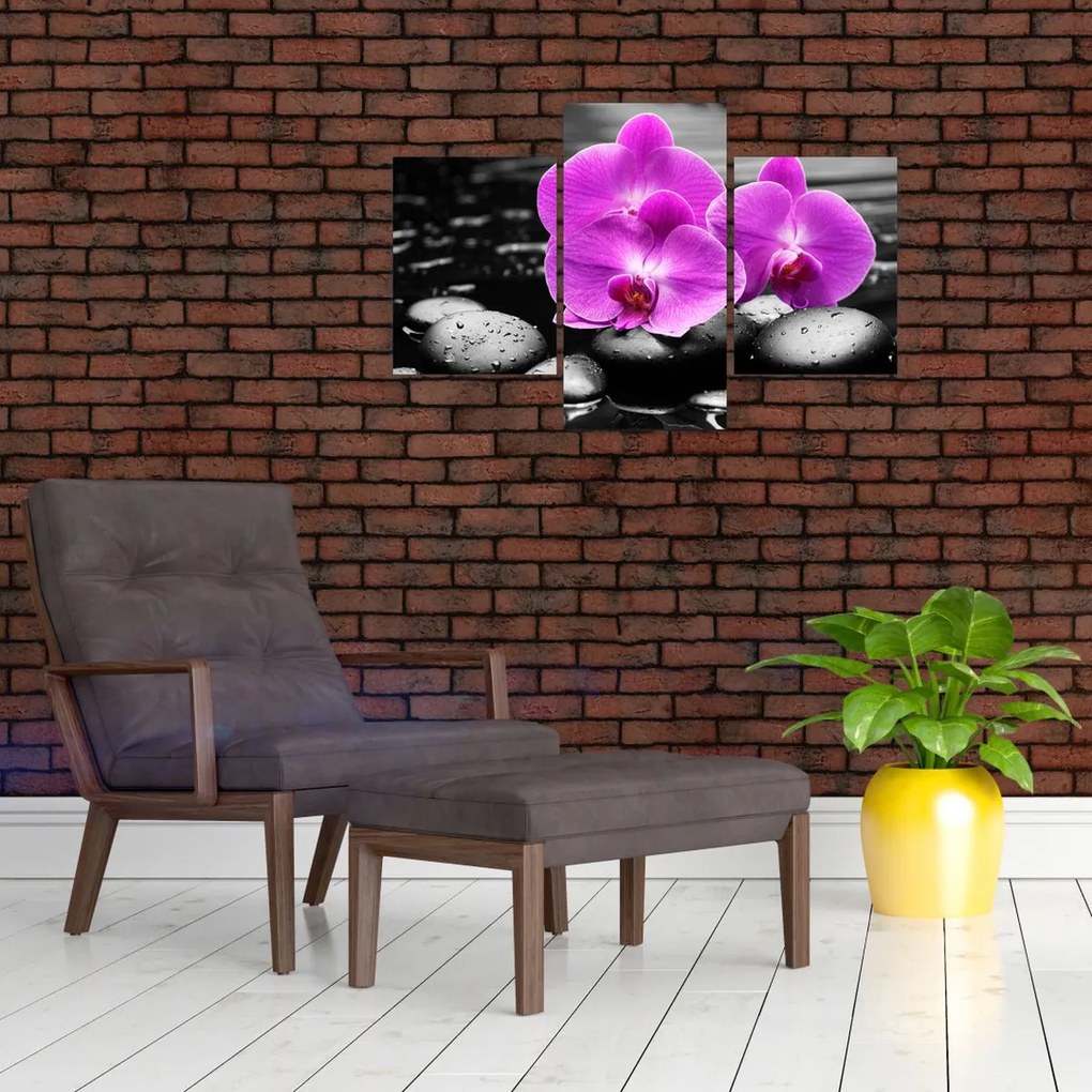 Tablou - Orhidee violet (90x60 cm)