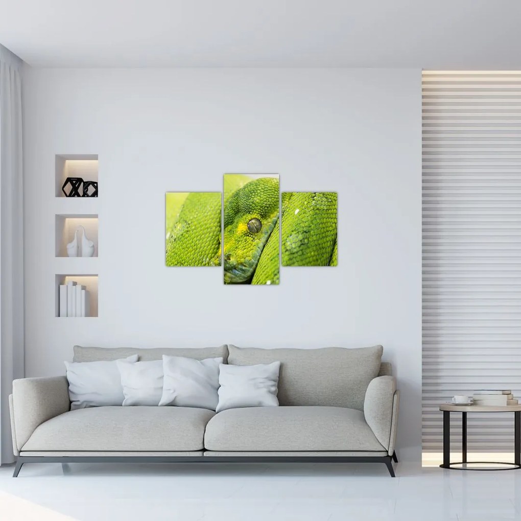 Tablou cu șarpe (90x60 cm)