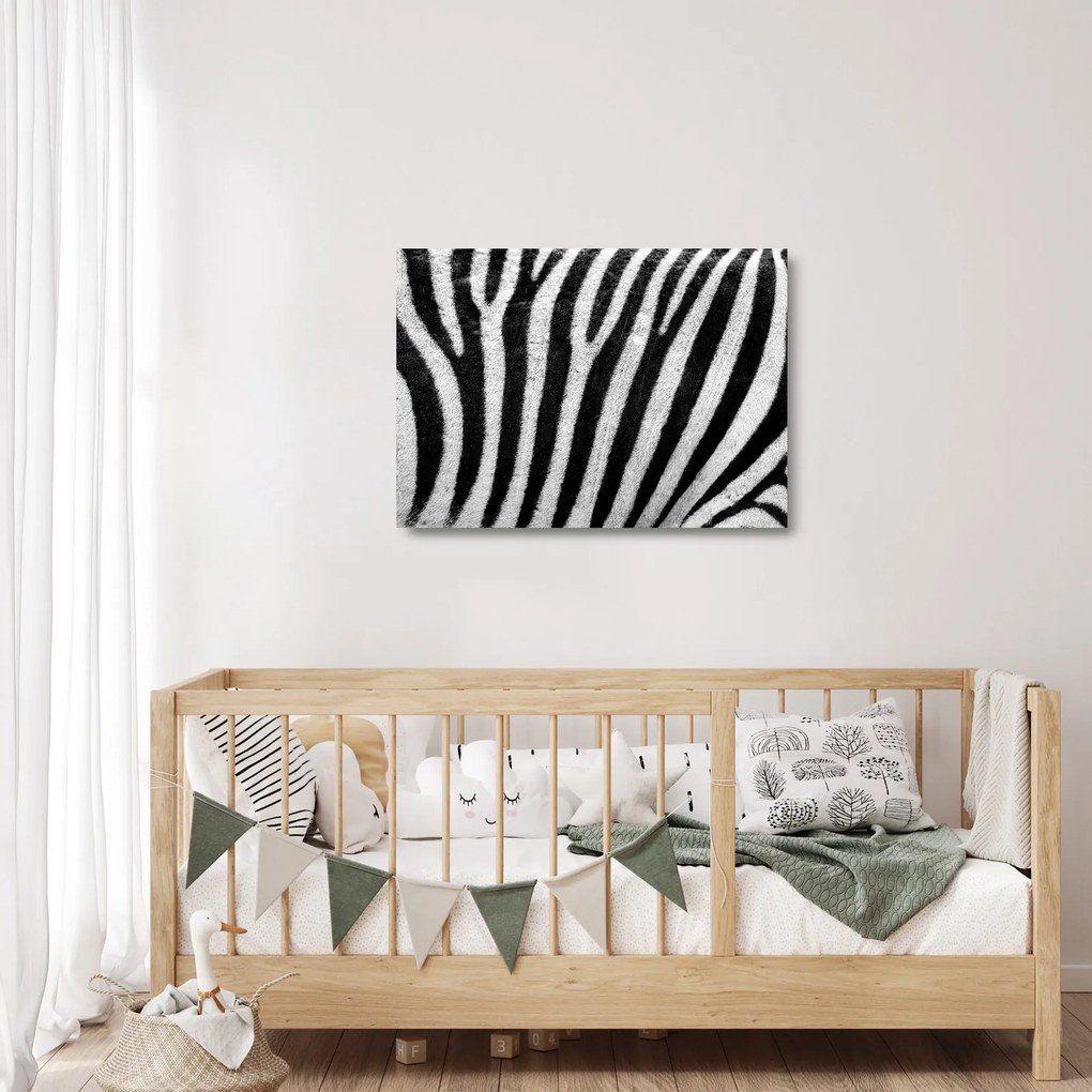 Tablou pe sticlă cu piele de zebră (70x50 cm)