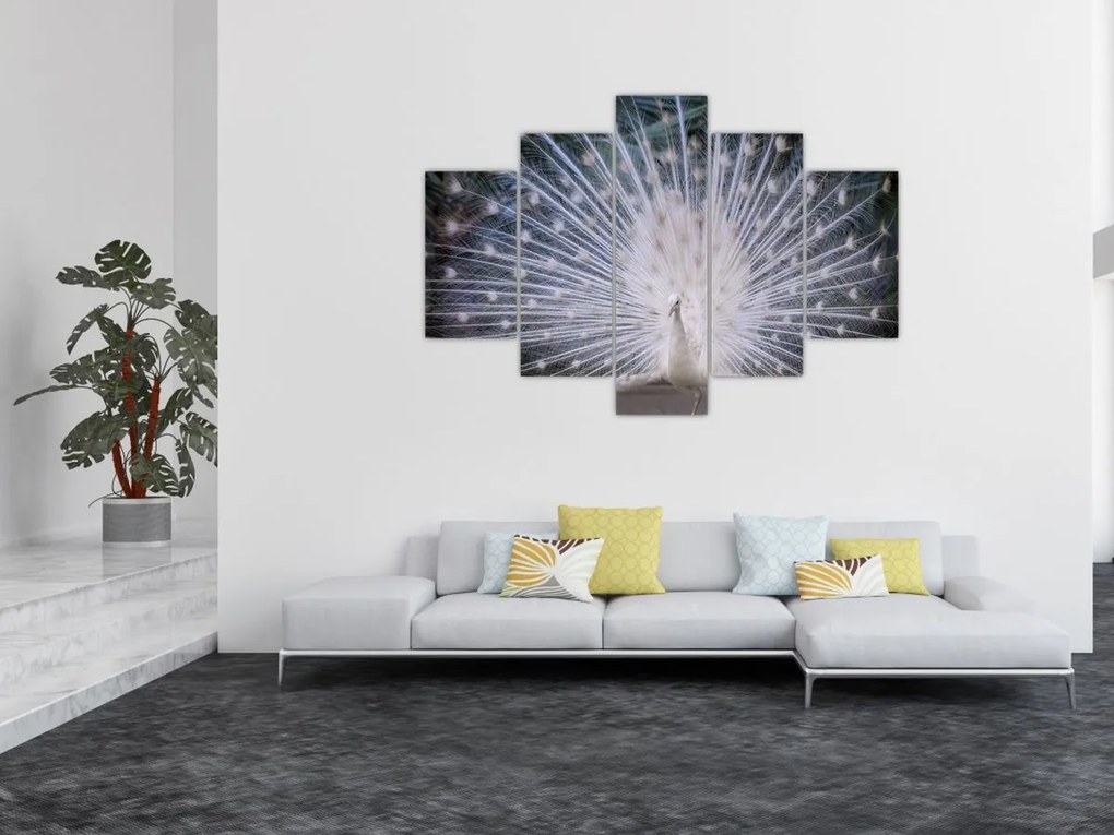 Tablou - Păun alb (150x105 cm)