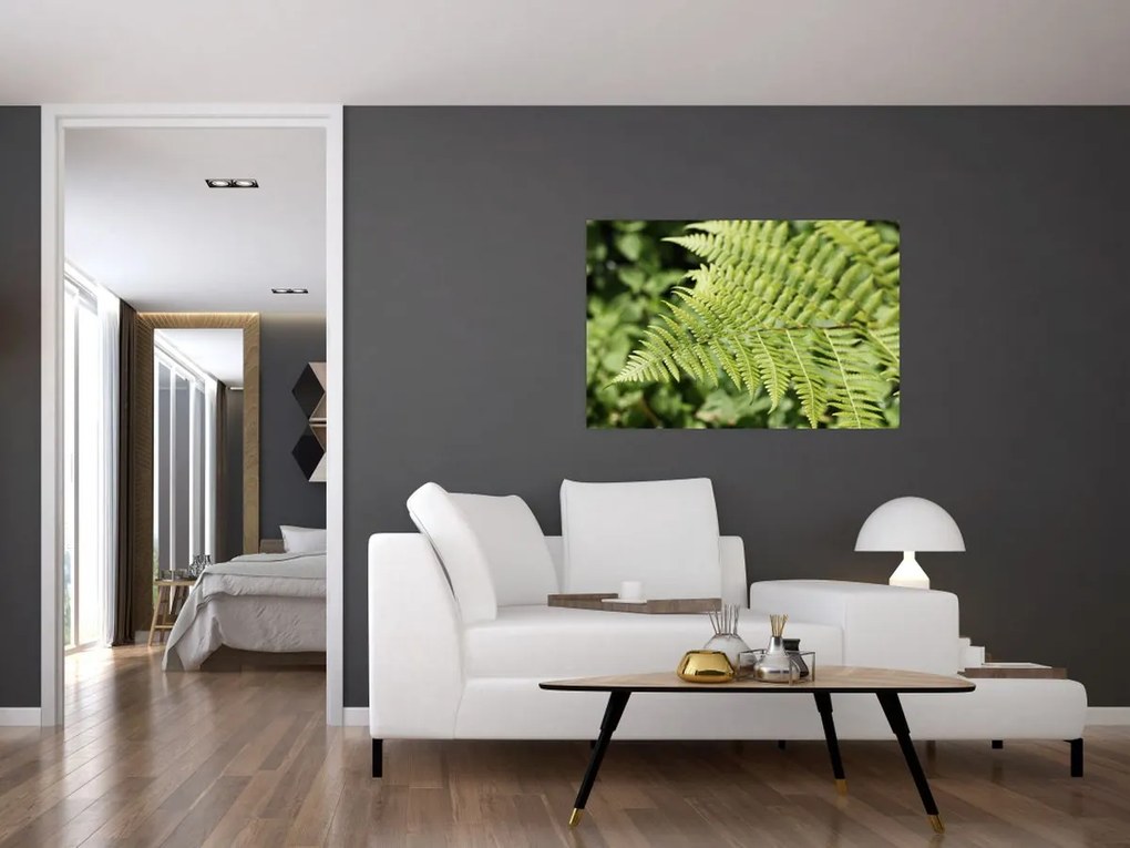 Tablou - Frunză de ferigă (90x60 cm)