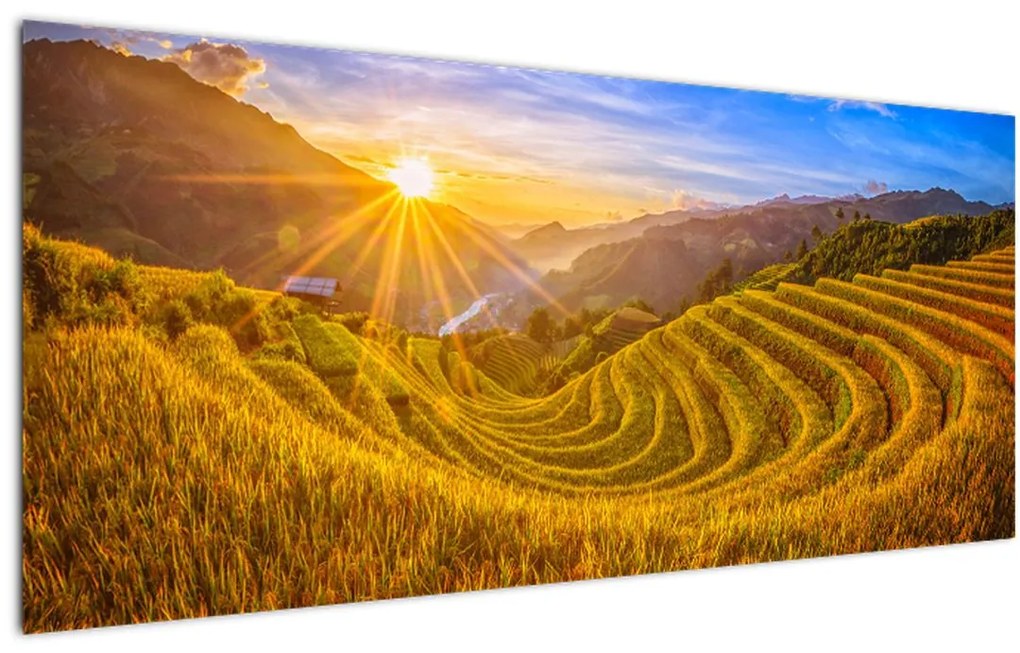 Tablou - Terasele de orez din Vietnam (120x50 cm)