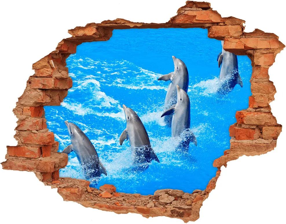 Fototapet 3D gaură în perete Delfini