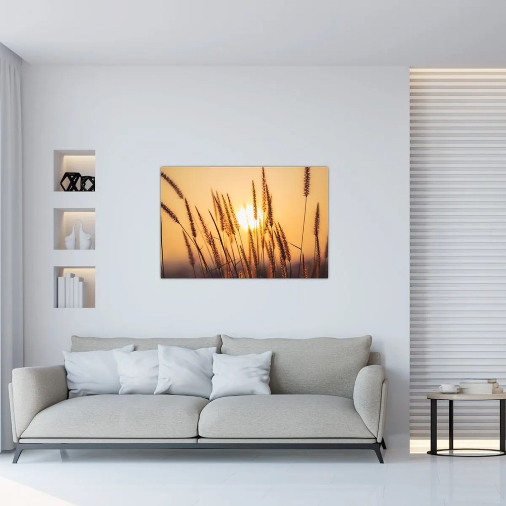Tablou - Iarbă la soare (90x60 cm)