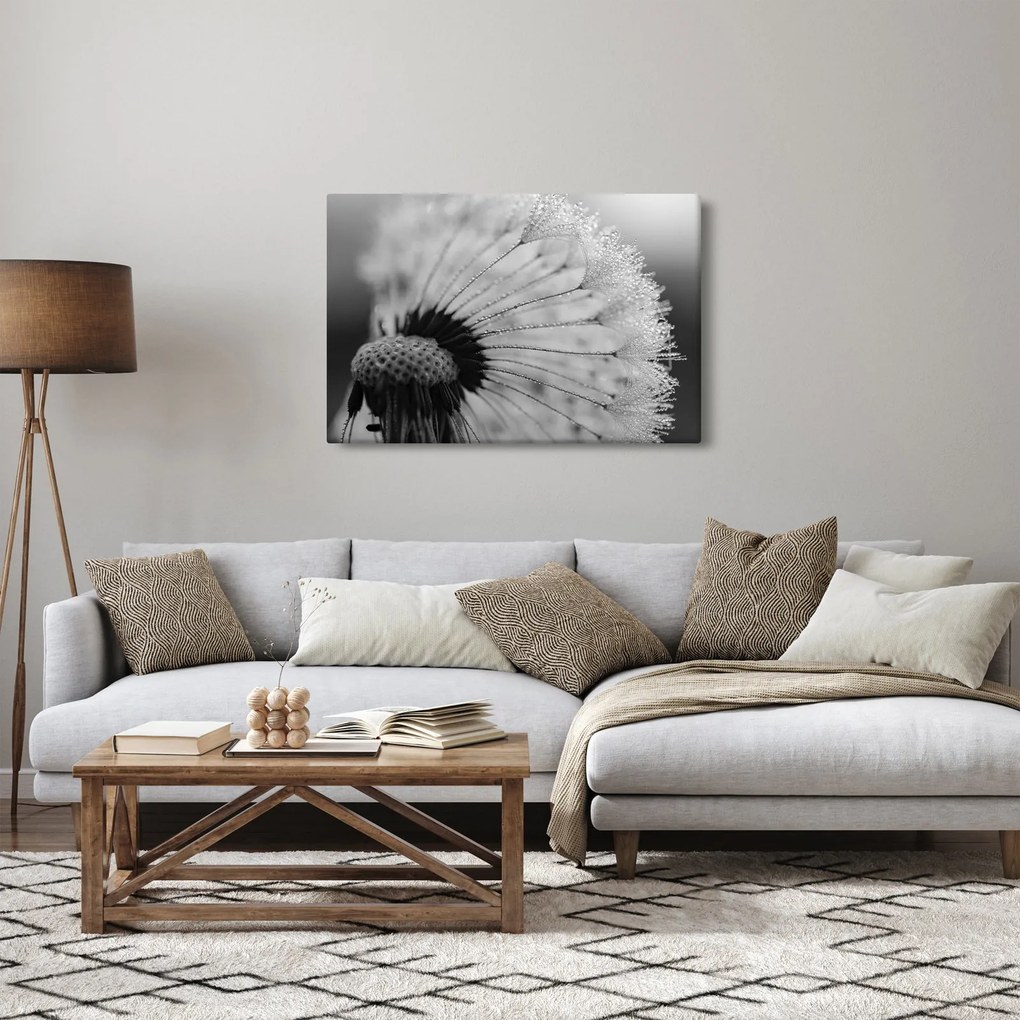 Tablou cu păpădie - albnegru (90x60 cm)