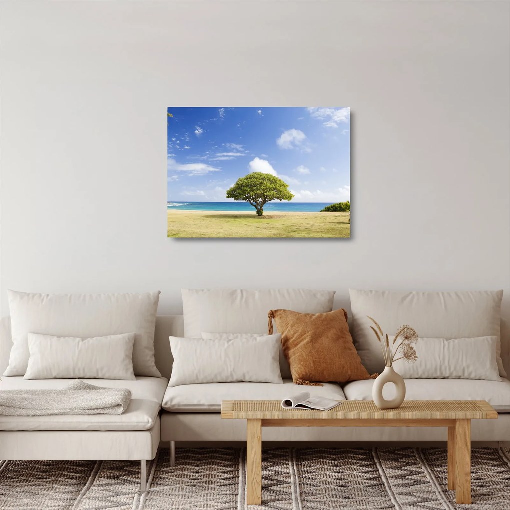Tablou pe sticlă plaja cu copac (70x50 cm)