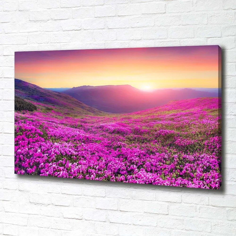 Tablou pe pânză canvas Deal roz
