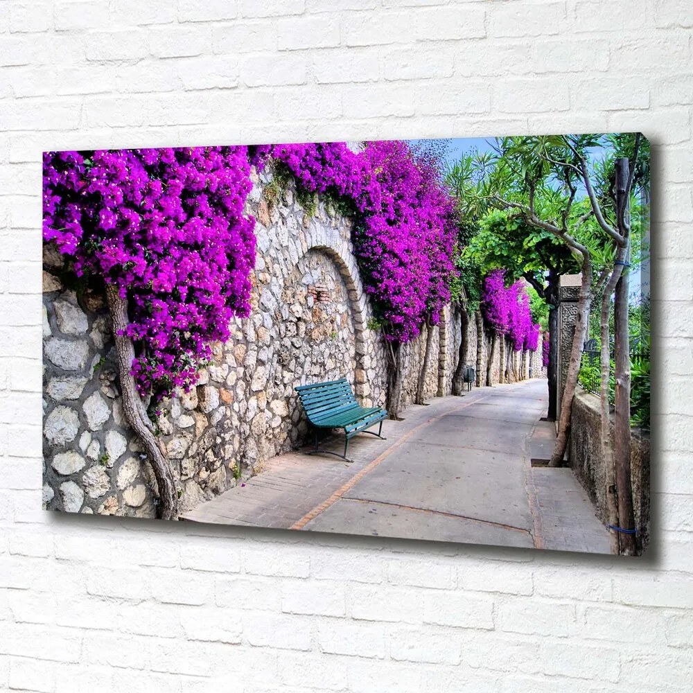 Print pe canvas Străzi fermecătoare