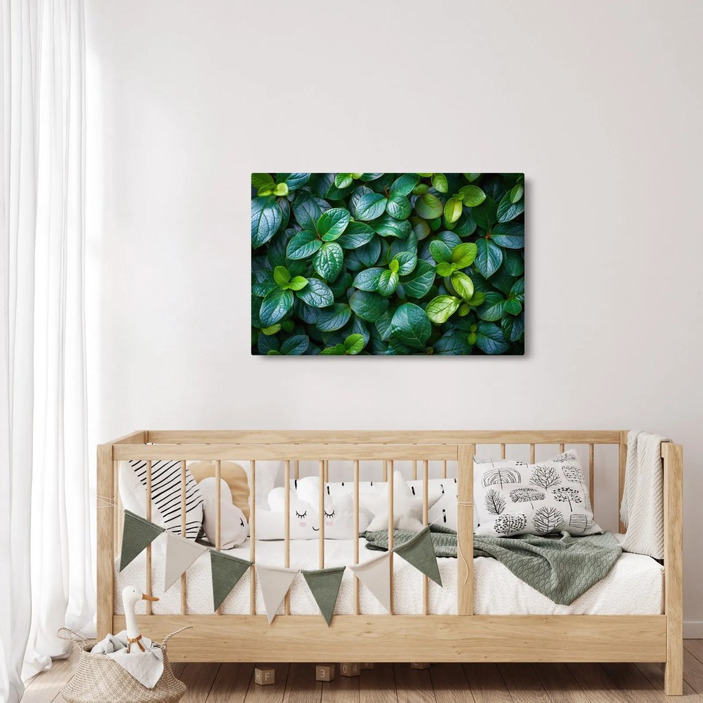 Tablou - Plante verzi (90x60 cm)