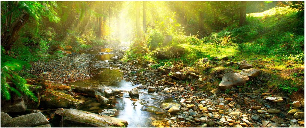 Tablou cu râul în pădurea verde (120x50 cm)