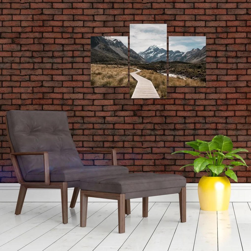 Tablou - Poteca în valea muntelui Mt. Cook (90x60 cm)