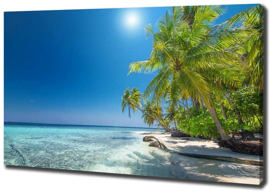Tablou canvas Plaja maldive