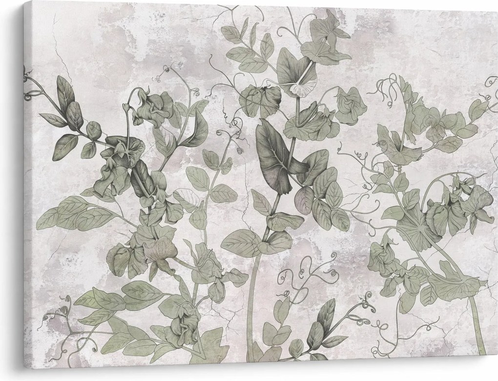 Tablou - Plante in ipsos (70x50 cm)