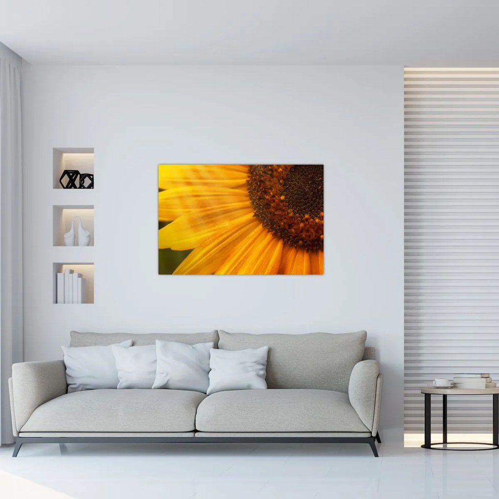 Tablou - Floarea-soarelui (90x60 cm)