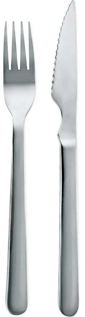 Set tacâmuri pentru friptură Toro Ibiza, 12 buc.,