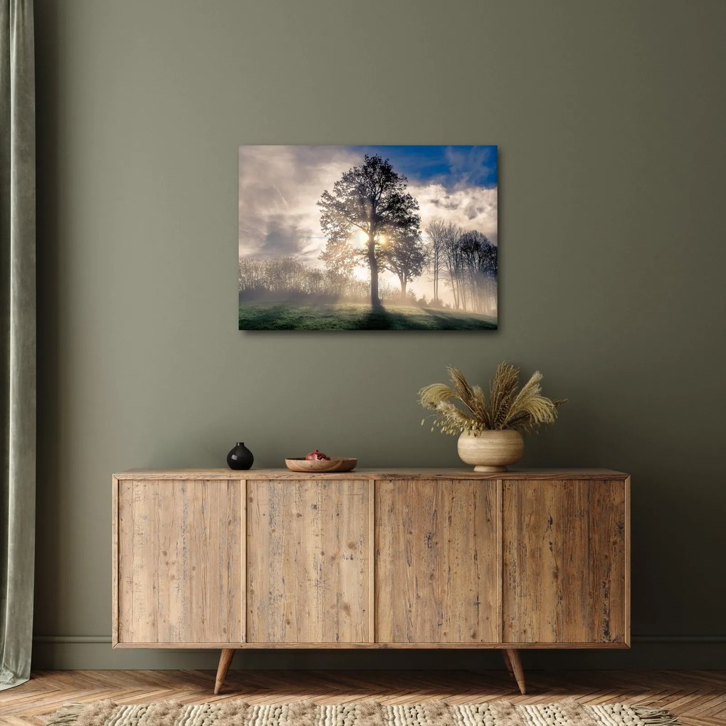 Tablou cu copac în ceață (70x50 cm)
