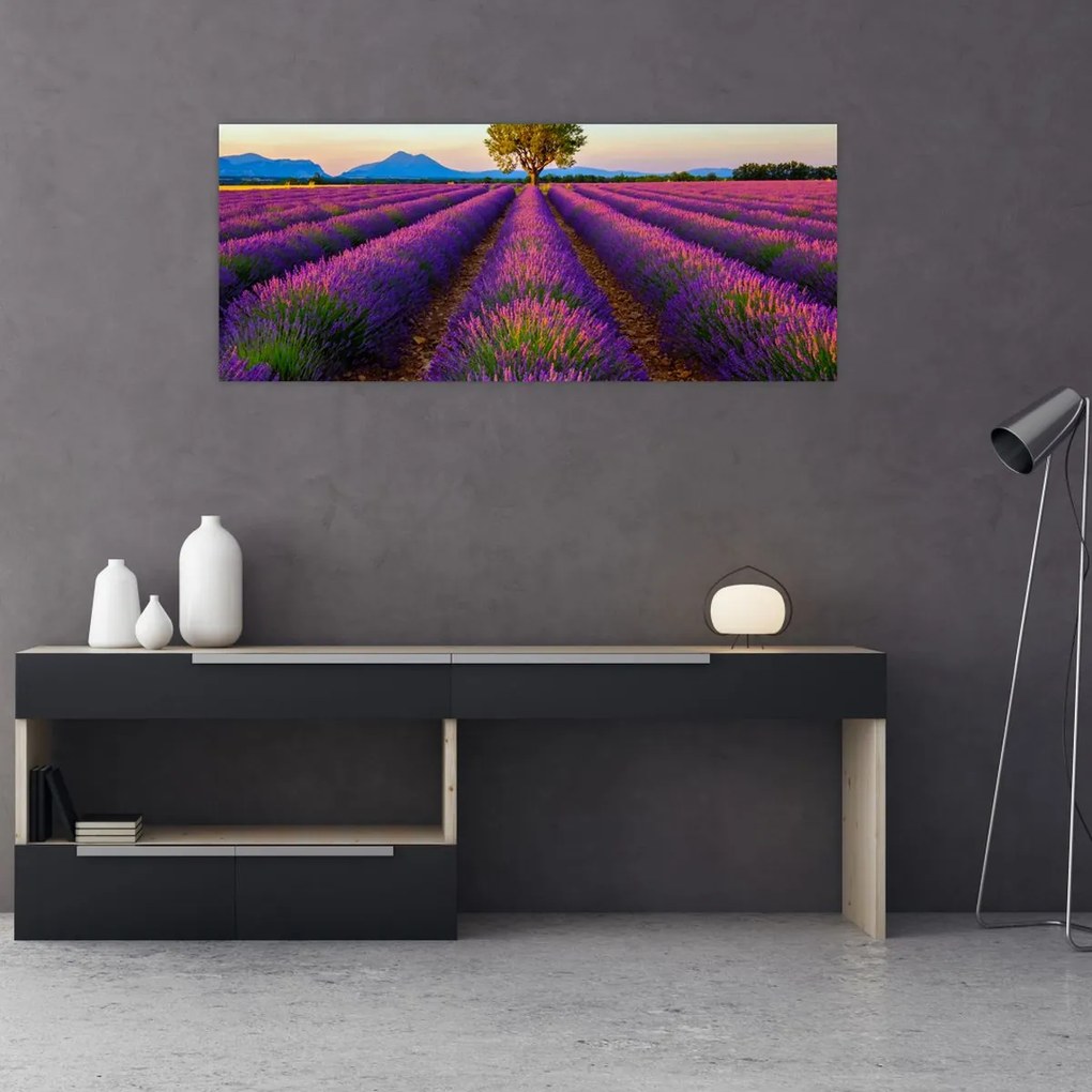 Tablou - Câmp de lavandă (120x50 cm)