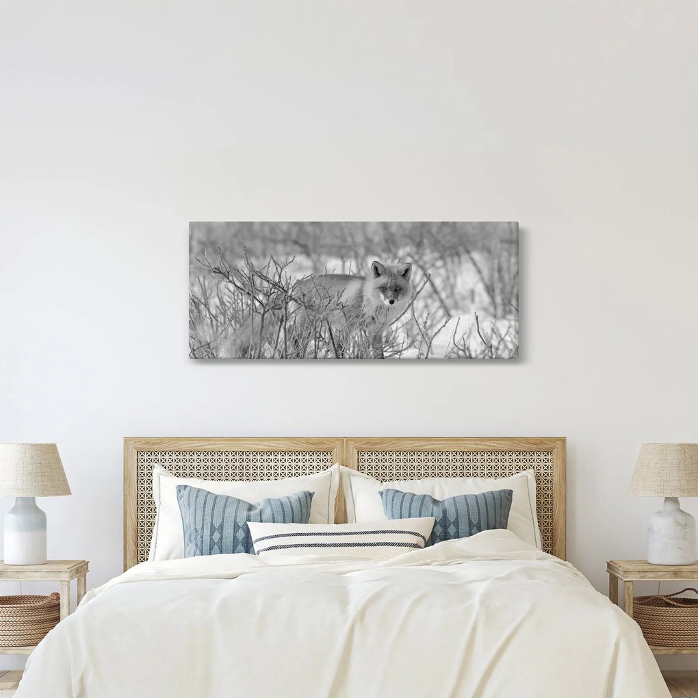 Tablou - Vulpe,alb-negru (120x50 cm)