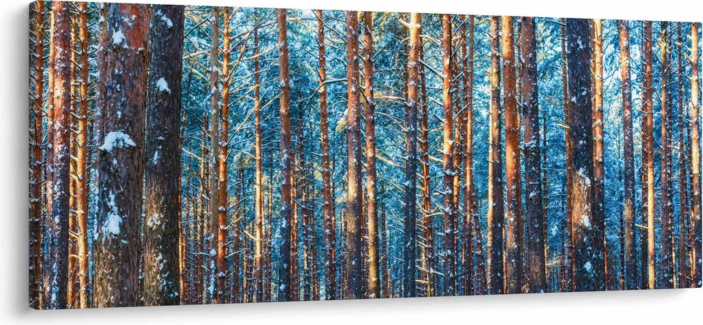 Tablou - Pădurea iarna (120x50 cm)