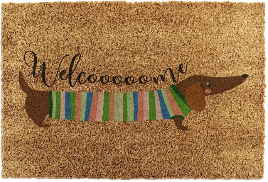 Covoraș de intrare din fibre de nucă de cocos 40x60 cm Welcome Sausage Dog – Artsy Doormats