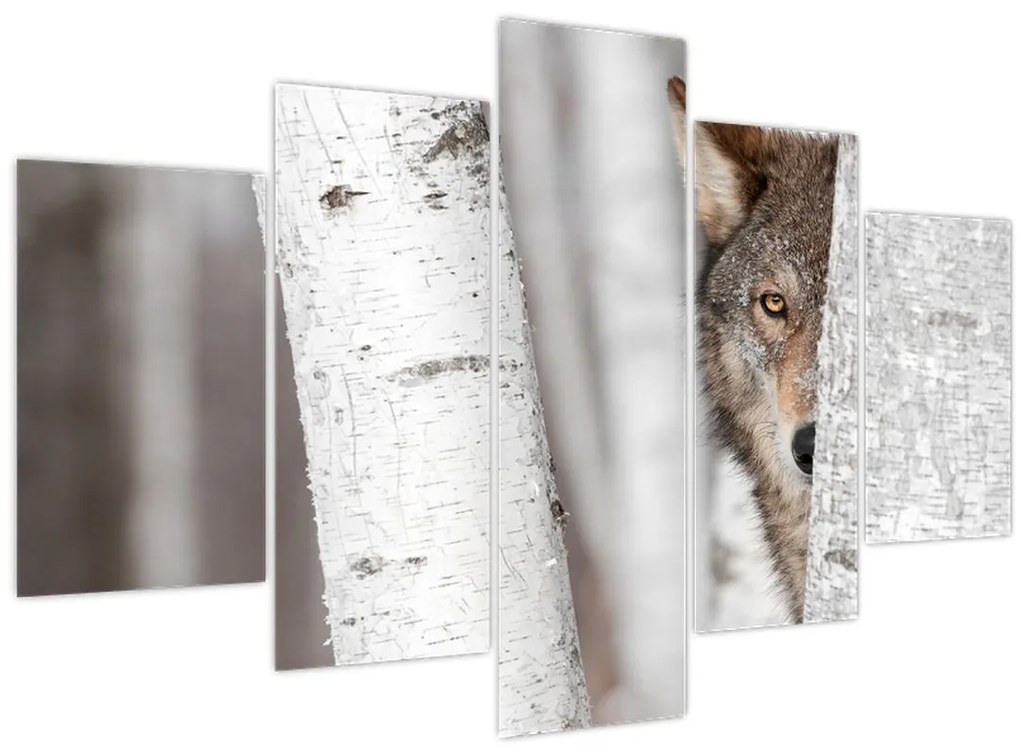 Tablou - Lup (150x105 cm)