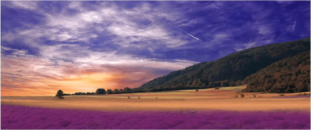 Tablou cu lunca cu lavandă (120x50 cm)