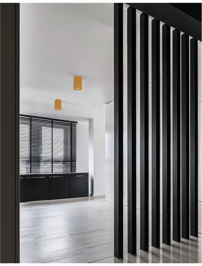 Spot aplicat tavan / plafon design modern minimalist NIDO auriu