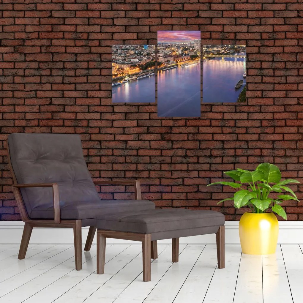Tablou cu orașul Bratislava cu râu (90x60 cm)