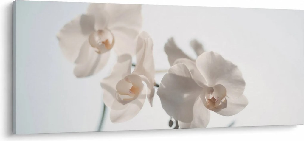 Tablou cu orhidee albă (120x50 cm)