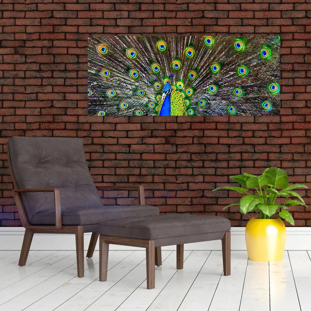 Tablou - Păun (120x50 cm)