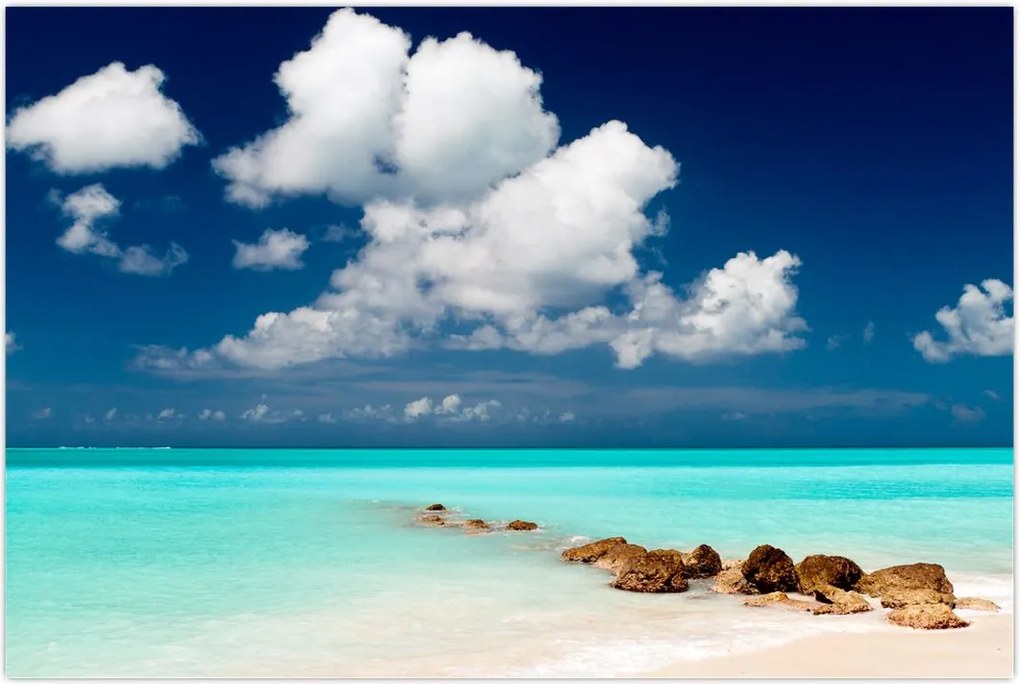 Tablou cu mare (90x60 cm)