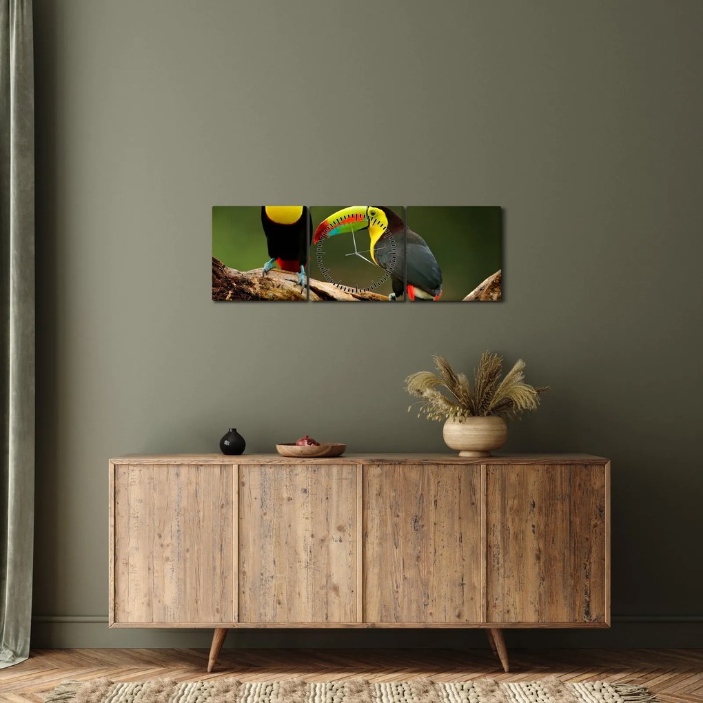 Tablou tucani sezând , Costa Rica (cu ceas) (90x30 cm)