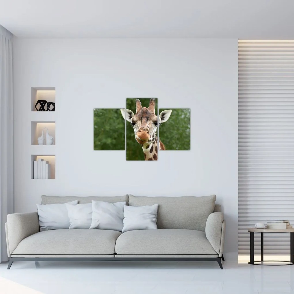 Tablou cu girafa (90x60 cm)
