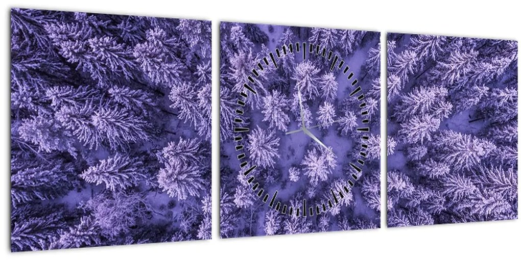 Tablou cu copacii înzăpeziți (cu ceas) (90x30 cm)