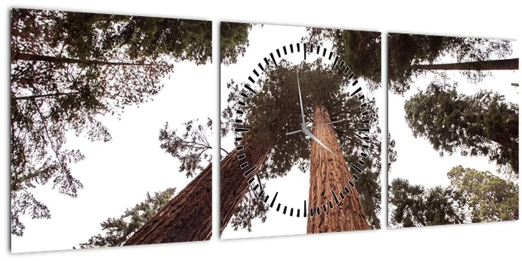 Tablou - Privire prin vârfurile copacilor (cu ceas) (90x30 cm)