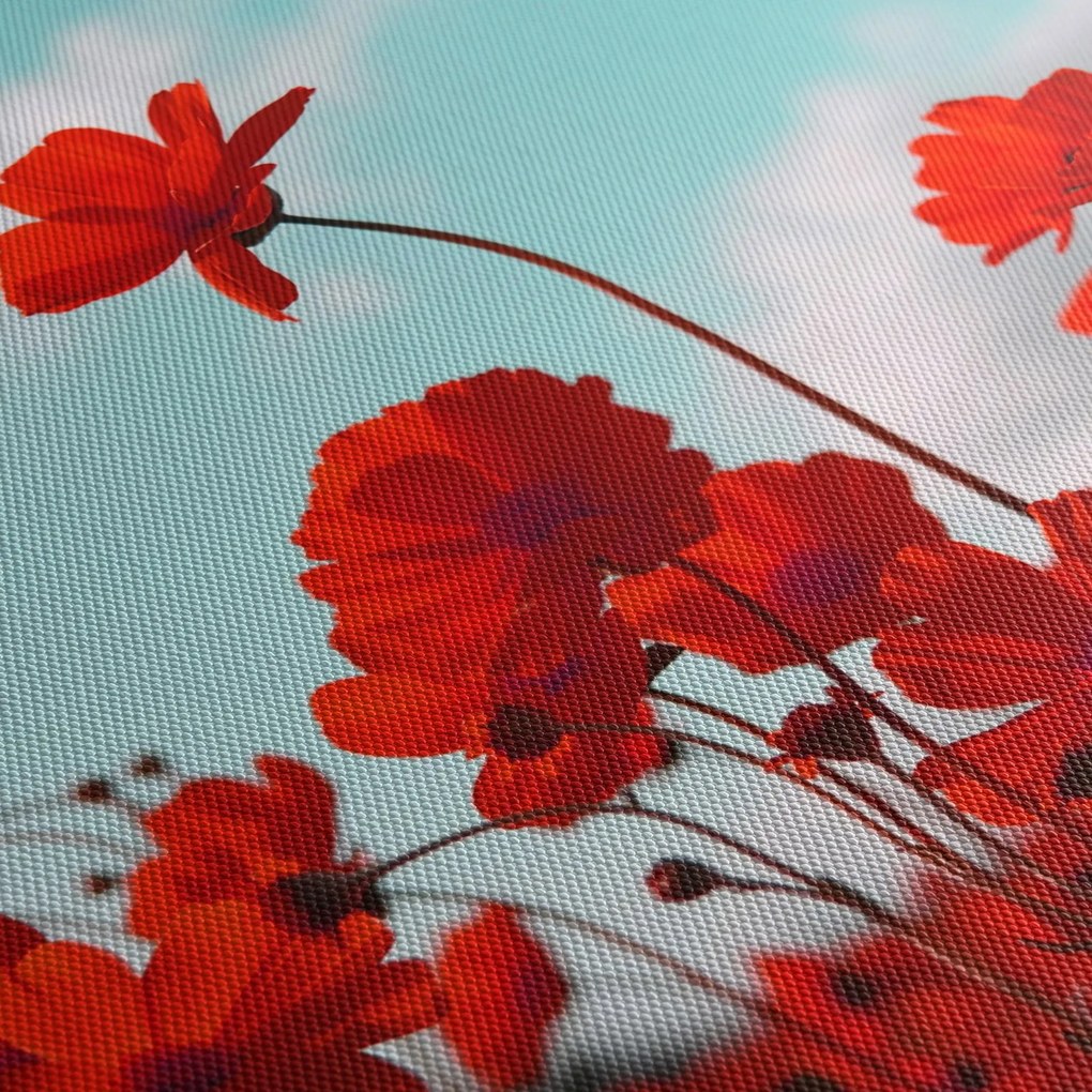 Tablou - Câmp cu flori roșu deschis (120x50 cm)