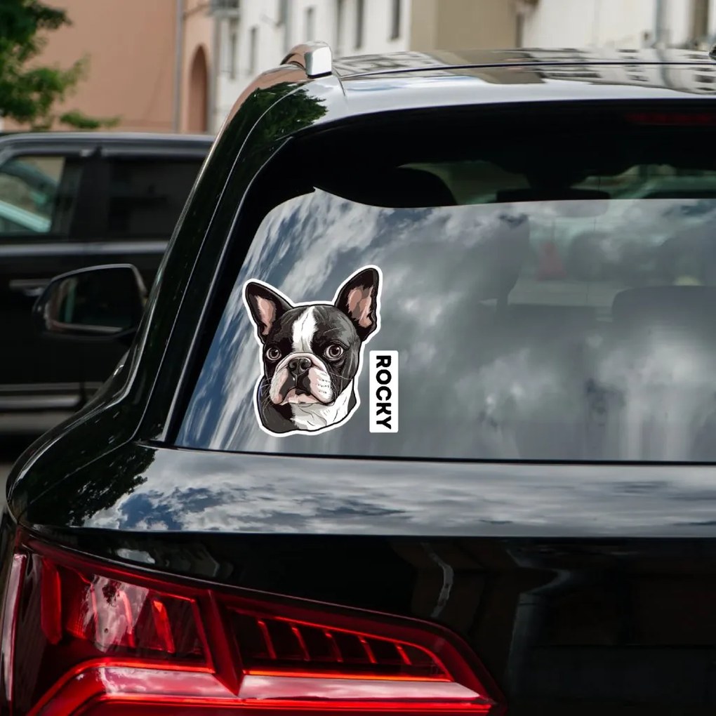 PIPPER. Autocolant Boston Terrier mărimea: 60cm