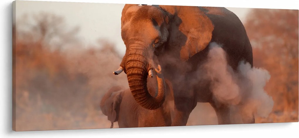 Tablou - Marele elefant african (120x50 cm)