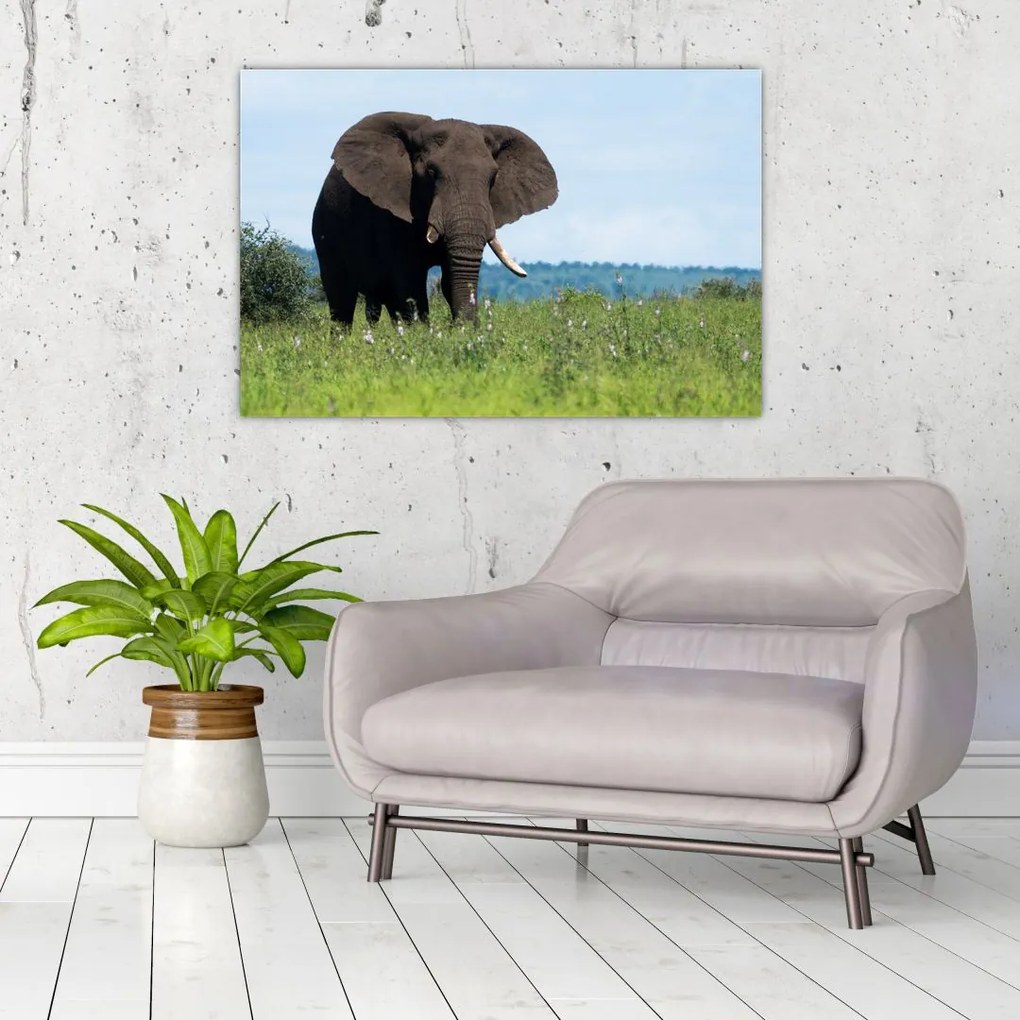 Tablou cu elefant (90x60 cm)