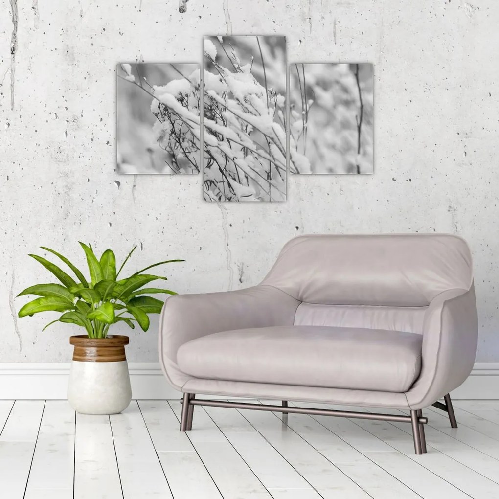 Tablou - Ramuri înzăpezite (90x60 cm)