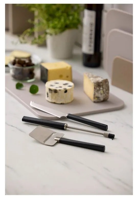 Set de cuțite din oțel inoxidabil pentru brânzeturi 3 buc. Emma – Rosti