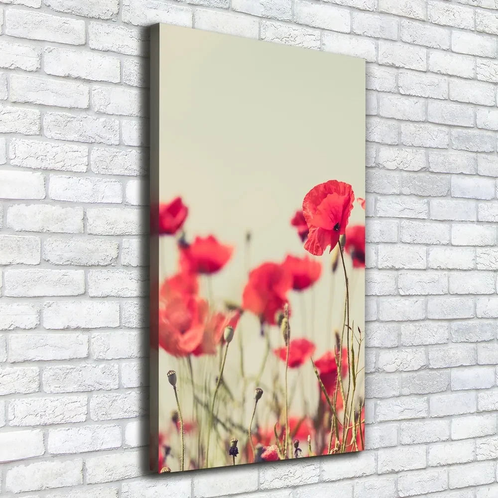 Imprimare tablou canvas Wildflowers maci
